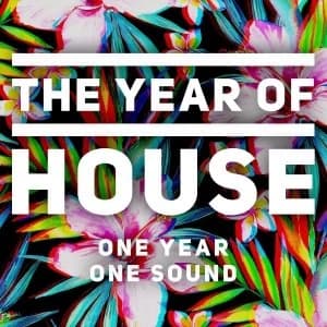Various Artists - The Year of House CD