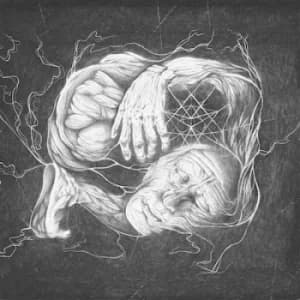 Vorant Gnosis by Verberis CD Album