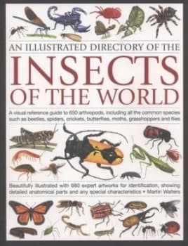 An Illustrated Directory of the Insects of the World by Martin Walters Paperback
