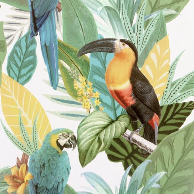 Arthouse Arthouse Toucan Jungle Multicolour Wallpaper