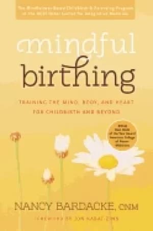 mindful birthing training the mind body and heart for childbirth and beyond