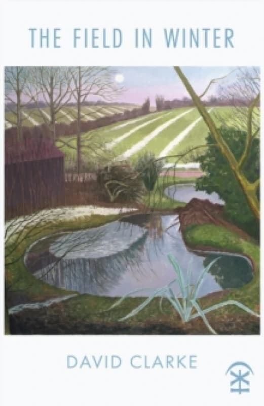 The Field in Winter Paperback / softback