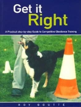 Get It Right by Roy Goutt Paperback