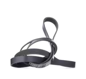 RIDEX V-ribbed belt 305P0145 Serpentine belt,Auxiliary belt VW,MERCEDES-BENZ,FORD,Transporter IV Bus (70B, 70C, 7DB, 7DK, 70J, 70K, 7DC, 7DJ)