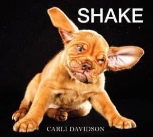 Shake by Carli Davidson Hardback