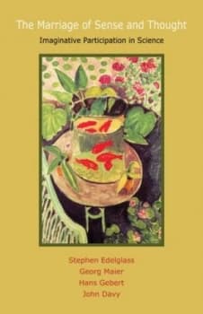 The Marriage of Sense and Thought by Stephen Edelglass Paperback