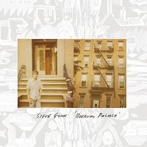 Steve Gunn Boerum Palace Blue Vinyl Vinyl