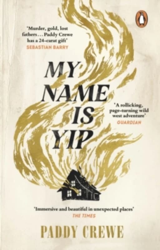 My Name is Yip Paperback / softback