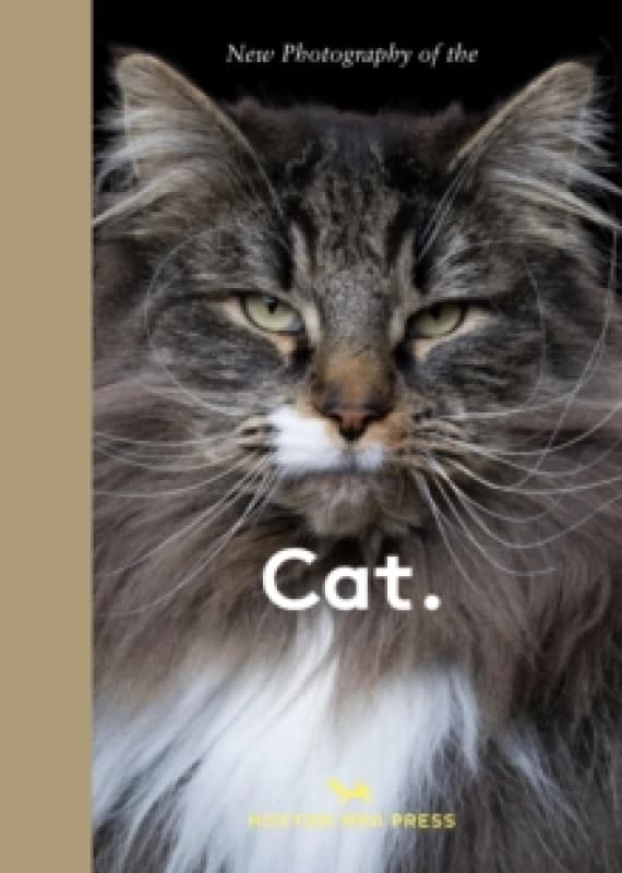 New Photography of the Cat. : The best new photography of cats. Hardback