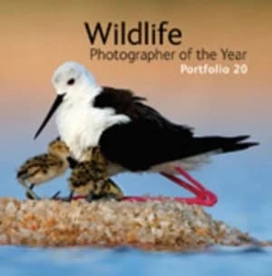Wildlife Photographer of the Year. Portfolio 20 by Rosamund Kidman Cox Hardback