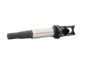 RIDEX Ignition coil 689C0343 Coil pack,Ignition coil pack BMW,PEUGEOT,CITROEN,3 Touring (E91),3 Limousine (E46),3 Limousine (E90),5 Limousine (E60)