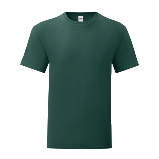 Fruit Of The Loom Fruit of the Loom Men Iconic T-Shirt in Green Size: 3X-Large Green XXXL Male 5063417950738