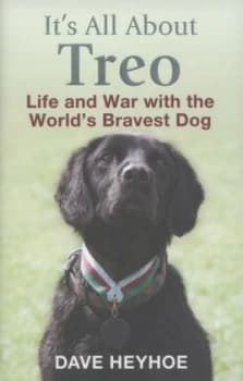 Its All about Treo by Dave Heyhoe Hardback