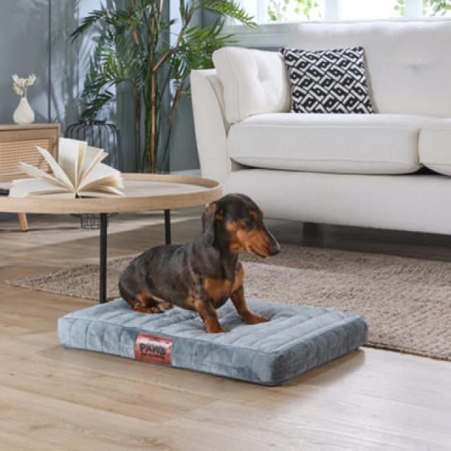 Slumberdown Paws for Slumber Small Orthopedic Pet Bed Grey