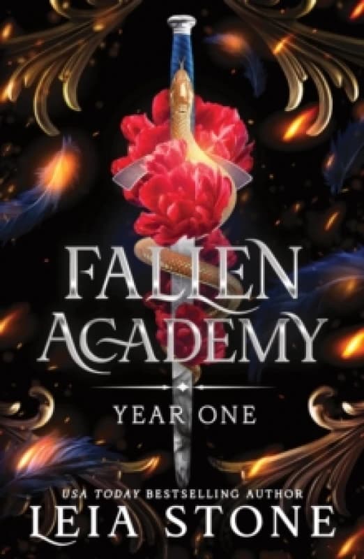 Fallen Academy Year One : An Exciting YA Fantasy and Dark Academia Romance (Fallen Academy Book 1) Paperback / softback