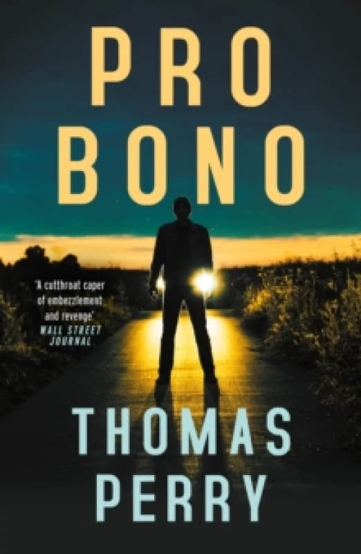 Pro Bono Paperback / softback