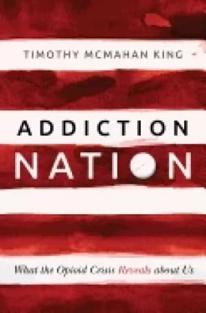 addiction nation what the opioid crisis reveals about us