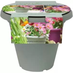 Butterfly Garden Sow and Grow kit - Green - Clever Pots
