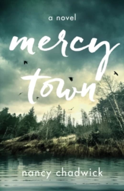 Mercy Town : A Novel Paperback / softback