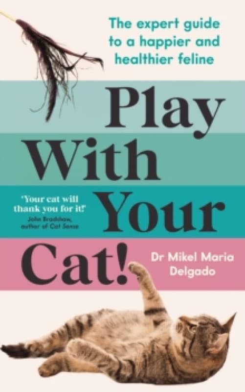 Play With Your Cat! : The expert guide to a happier and healthier feline Paperback / softback