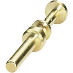 Coninvers 1605744 SM 36KP002 Gold