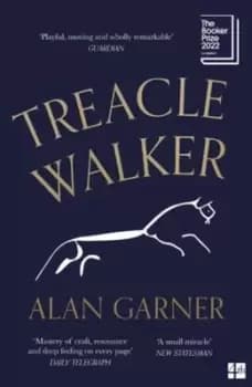 Treacle Walker - Alan Garner - Paperback - Used