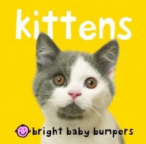 Kittens Hardback