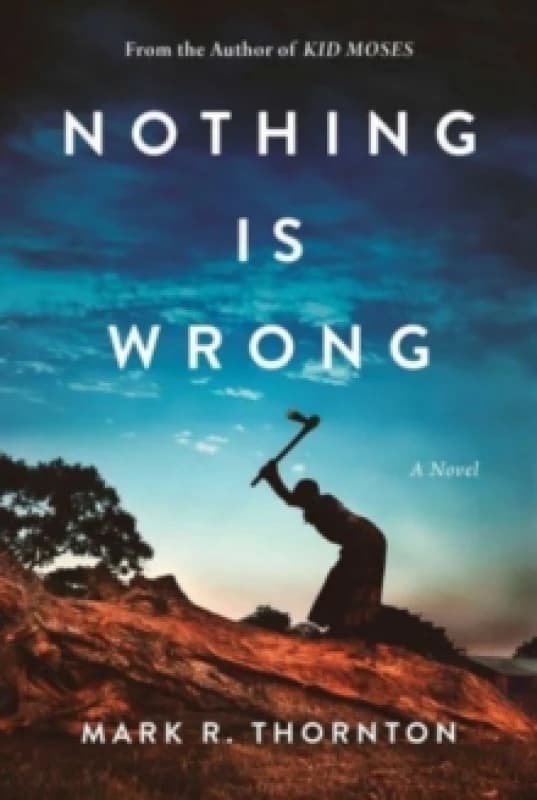 Nothing Is Wrong : A Novel Hardback