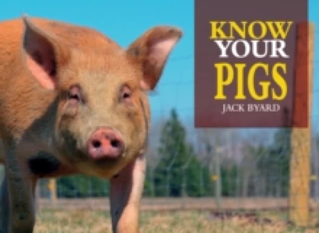 Know Your Pigs Paperback / softback