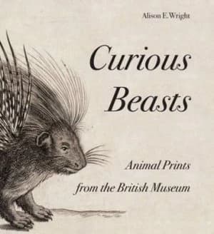 Curious Beasts by Alison E. Wright Paperback