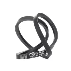 SKF V Belt NISSAN VKMV 13.7x975 11720AD200,11720AU600 Fenner Belt