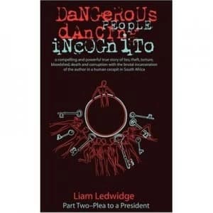 Dangerous People Dancing Incognito by Liam Ledwidge and Jan Andersen Paperback