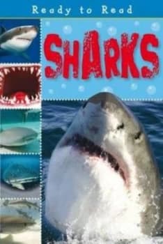 Sharks by Sarah Creese Paperback