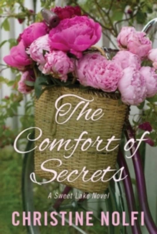 The Comfort of Secrets Paperback / softback