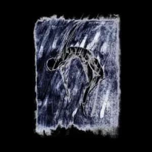 De Verste Verte Is Hier by Laster Vinyl Album