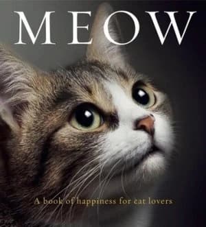 Meow by Anouska Jones Hardback