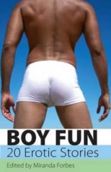Boy Fun by Alex Jordaine Book