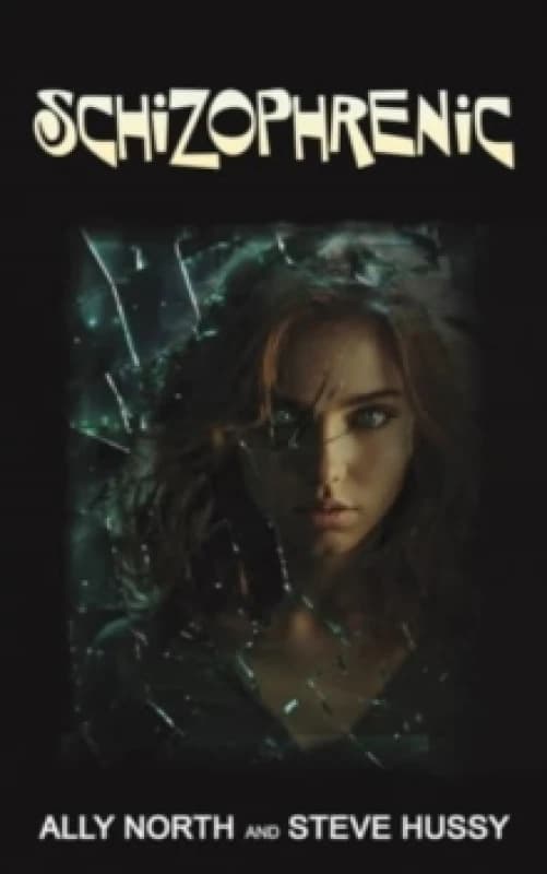 Schizophrenic. Paperback. By Ally North, Steve Hussy Books