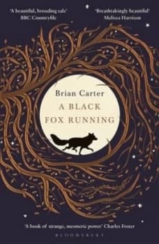 A Black fox running by Brian Carter