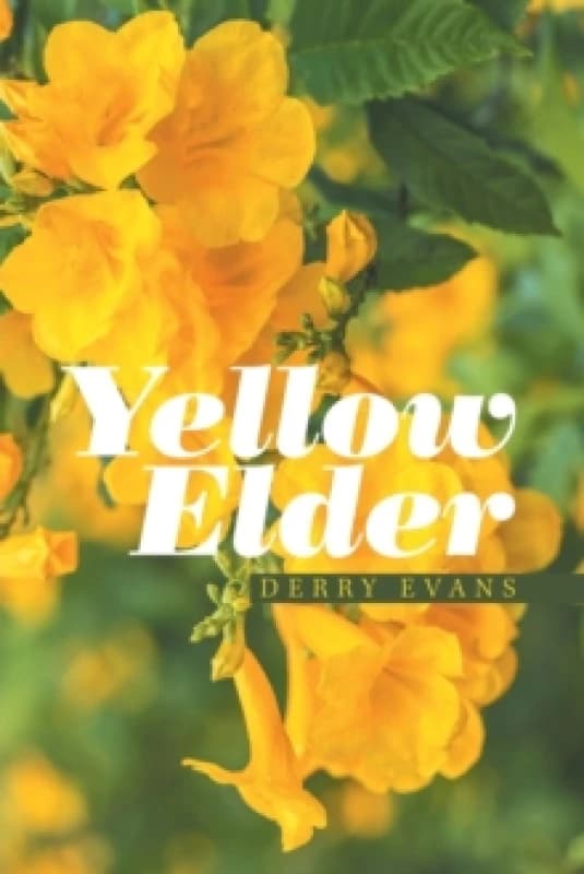 Yellow Elder Paperback / softback