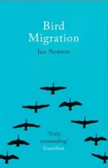 Bird Migration