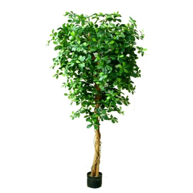 N/A 180cm Fire Retardant Black Olive Tree with 2925 Leaves and Natural Trunk