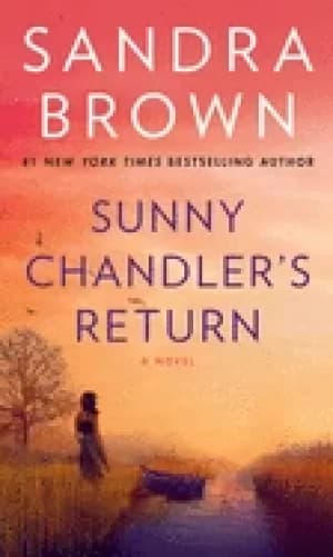 sunny chandlers return a novel