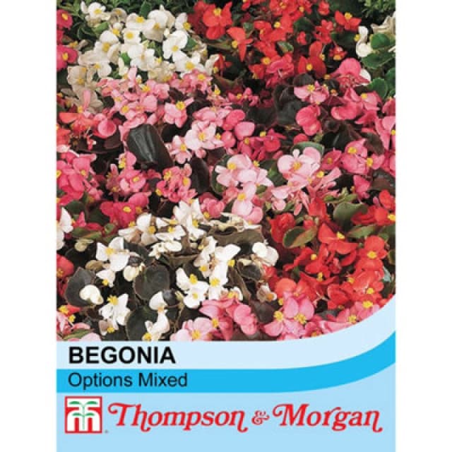 Thompson & Morgan Begonia Semperflorens Options Mixed 1 Seed Packet (750 Seeds)