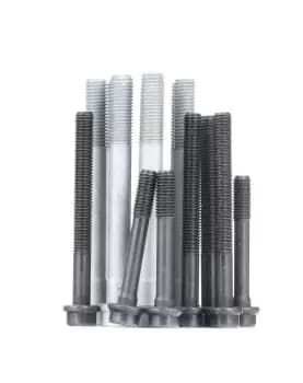 AJUSA Cylinder Head Bolt Kit OPEL,FORD,ALFA ROMEO 81009200 60572819x10,60572821x4,71717118x4 Bolt Kit, cylinder head