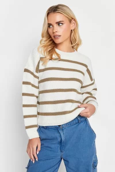 Petite Stripe Knit Jumper