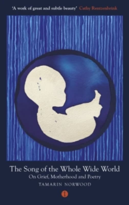 The Song of the Whole Wide World : On Grief, Motherhood and Poetry Paperback / softback
