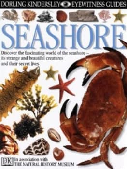 Seashore by Steve Parker and England Natural History Museum Hardback