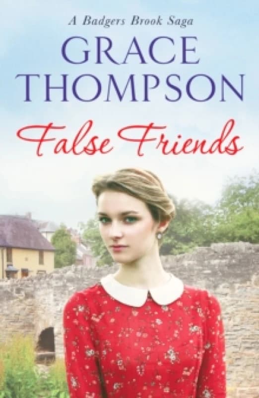 False Friends Paperback / softback