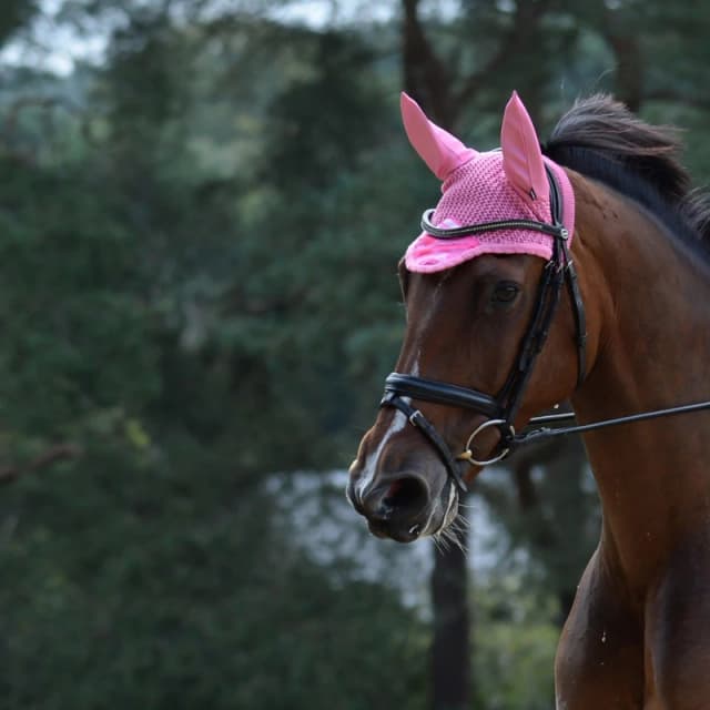 Weatherbeeta Prime Marble Ear Bonnet - Pink Pink Full